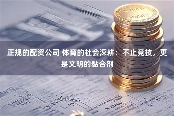 正规的配资公司 体育的社会深耕：不止竞技，更是文明的黏合剂